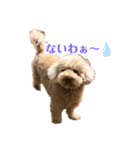 pittくんの三重弁（個別スタンプ：8）
