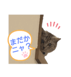 けいたろうベーシックスタンプ（個別スタンプ：2）