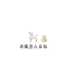 ぷーどる 1（個別スタンプ：12）