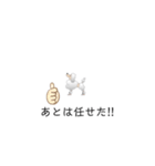 ぷーどる 1（個別スタンプ：16）