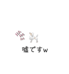 ぷーどる 1（個別スタンプ：19）