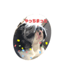 歌丸（個別スタンプ：7）