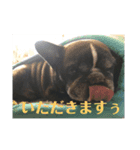 歌丸（個別スタンプ：8）