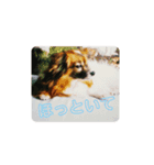 チャムネ 1（個別スタンプ：3）