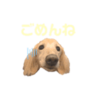 てんくろてん（個別スタンプ：5）