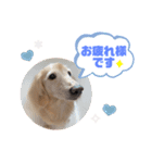 てんくろてん（個別スタンプ：6）
