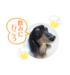 てんくろてん（個別スタンプ：7）