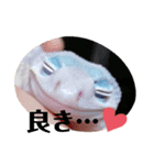 オタクな爬虫類たち（1）（個別スタンプ：1）