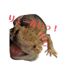 オタクな爬虫類たち（1）（個別スタンプ：2）