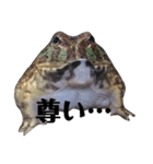 オタクな爬虫類たち（1）（個別スタンプ：3）