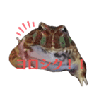 オタクな爬虫類たち（1）（個別スタンプ：8）