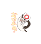 ポイント猫ちゃんスタンプ（個別スタンプ：3）