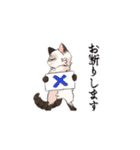 ポイント猫ちゃんスタンプ（個別スタンプ：4）