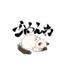 ポイント猫ちゃんスタンプ（個別スタンプ：5）