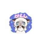 ポイント猫ちゃんスタンプ（個別スタンプ：6）