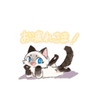 ポイント猫ちゃんスタンプ（個別スタンプ：8）
