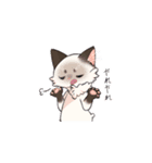 ポイント猫ちゃんスタンプ（個別スタンプ：14）
