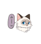 ポイント猫ちゃんスタンプ（個別スタンプ：15）