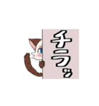 ポイント猫ちゃんスタンプ（個別スタンプ：21）