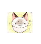 ポイント猫ちゃんスタンプ（個別スタンプ：23）