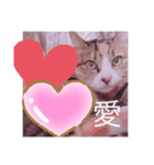 びちゅこさんのスタンプ（個別スタンプ：6）