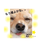 まいまい.（個別スタンプ：2）