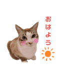 ぐうたらのあたこ（個別スタンプ：2）