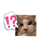 ぐうたらのあたこ（個別スタンプ：3）