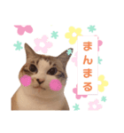 ぐうたらのあたこ（個別スタンプ：4）