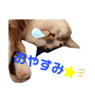 ぐうたらのあたこ（個別スタンプ：6）