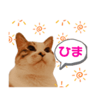 ぐうたらのあたこ（個別スタンプ：7）