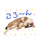 ぐうたらのあたこ（個別スタンプ：8）