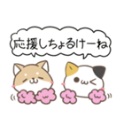 山口弁のみけねこ＆しばいぬ2（個別スタンプ：24）