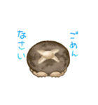 のこかぱ（個別スタンプ：22）