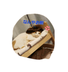 はなとこむぎ（個別スタンプ：5）