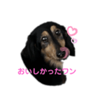 ダックスすたんぷ♡（個別スタンプ：2）