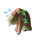 ちゅらみー（個別スタンプ：3）