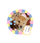 福来たる！！（個別スタンプ：2）