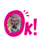 福来たる！！（個別スタンプ：3）