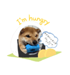 福来たる！！（個別スタンプ：6）