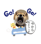 福来たる！！（個別スタンプ：7）
