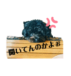 くろさきのわくん2（個別スタンプ：4）