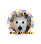 ちゃこの挨拶（個別スタンプ：3）