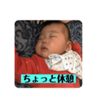 ときどきスタンプ5-1（個別スタンプ：8）