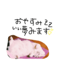はりやさん人間年齢28歳（個別スタンプ：4）