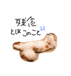 はりやさん人間年齢28歳（個別スタンプ：7）