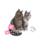 あめとゆき（個別スタンプ：5）