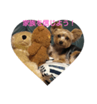 コタローくんの1日（個別スタンプ：4）