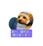 コタローくんの1日（個別スタンプ：6）