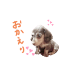 むぎむぎこ（個別スタンプ：1）